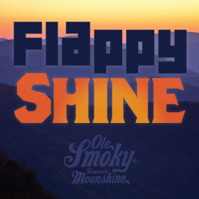 couverture jeu vidéo Flappy Shine
