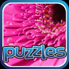 couverture jeu vidéo Fleurs Puzzles - lys, rose, orchidées et Sun Flower