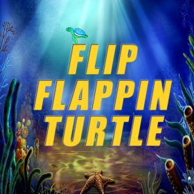 couverture jeu vidéo Flip Flappin Turtle