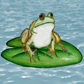 couverture jeu vidéo Flop