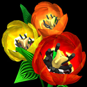 couverture jeu vidéo Flower Shop Big City Break Lite
