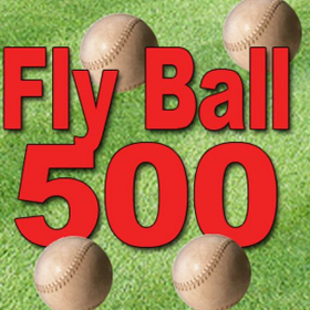 couverture jeu vidéo Fly Ball 500