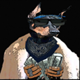 couverture jeu vidéo Fly Dawg