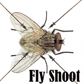 couverture jeu vidéo Fly Shoot