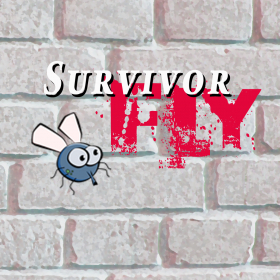 couverture jeu vidéo Fly Survivor