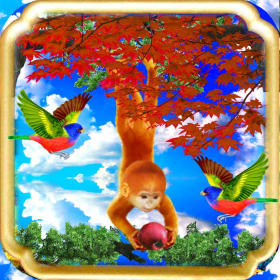 couverture jeu vidéo fly up to the sky