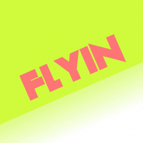 couverture jeu vidéo Flyin
