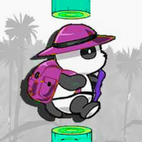 couverture jeu vidéo Flying Big Panda