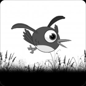 couverture jeu vidéo Flying Bird Black & White