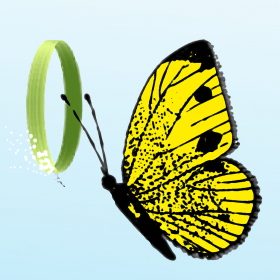couverture jeu vidéo Flying Butterfly