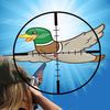 couverture jeu vidéo Flying Ducks : Adventure Season