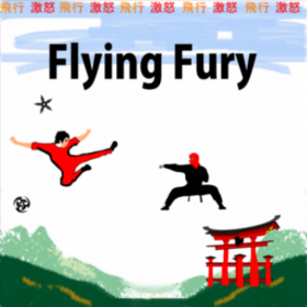 couverture jeu vidéo Flying Fury