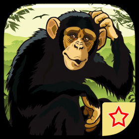 couverture jeu vidéo Flying Ninja Apes Attack - The Planet of War PREMIUM by The Other Games