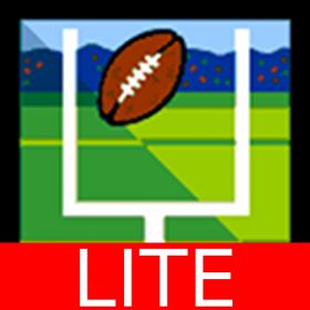 couverture jeu vidéo Football Insanity Lite