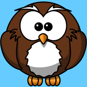 couverture jeu vidéo Fowl Owl