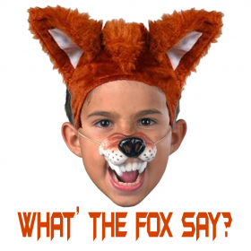 couverture jeu vidéo Foxify