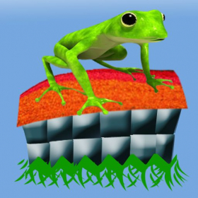 couverture jeu vidéo Frog Climb Up