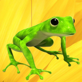couverture jeu vidéo Frog Drop