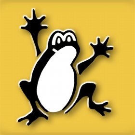 couverture jeu vidéo Frog The Strutter HD