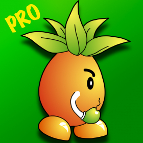 couverture jeu vidéo Fruit du film Jungle Jump Race Pro