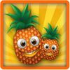 couverture jeu vidéo Fruit Nuts