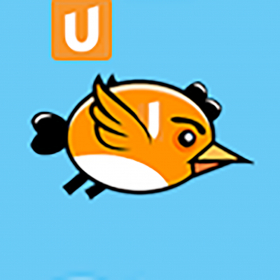 couverture jeu vidéo FrutoBird