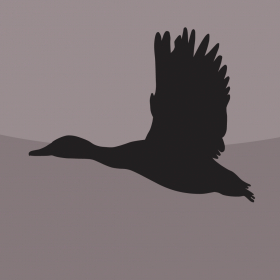 couverture jeu vidéo Fun Duck Hunter