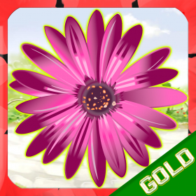 couverture jeu vidéo Fun Garden - The Match the flower summer game - Gold Edition