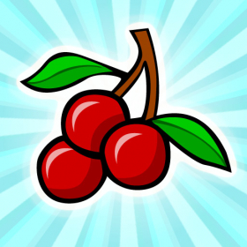 couverture jeu vidéo Fun Slots