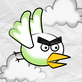couverture jeu vidéo Fury Birds