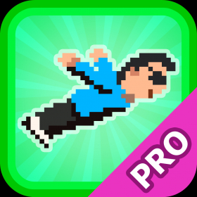 couverture jeu vidéo Gangnam Flyer - Flap in Style PRO