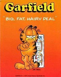 couverture jeu vidéo Garfield : Big, Fat, Hairy Deal