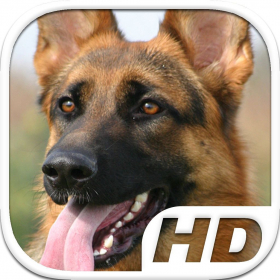 couverture jeu vidéo German Shepherd Simulator HD Animal Life