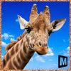 couverture jeu vidéo Giraffe Simulator 2016