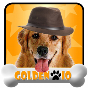 couverture jeu vidéo Golden IO