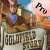 couverture jeu vidéo Goldfield Story