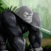 couverture jeu vidéo Gorillas Ruin City - The Fly Rope Adventure
