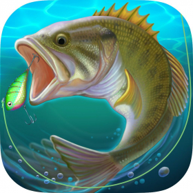 couverture jeu vidéo Grand Fishing Tour