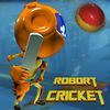 couverture jeux-video Grand Robot De Match De Cricket Pro - jeux de moto foot jeu billard coiffure gratui jigsaw puzzle d