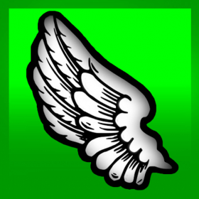 couverture jeu vidéo Green Adventures Wings Edition