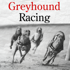 couverture jeu vidéo Greyhound Racing