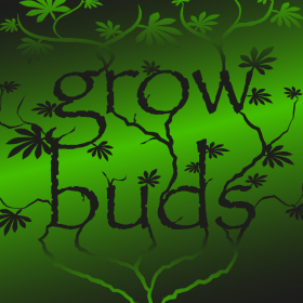 couverture jeu vidéo Growbuds