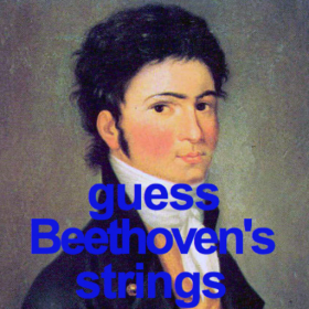couverture jeu vidéo Guess Beethoven's Strings