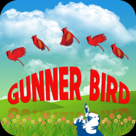 couverture jeu vidéo Gunner Bird