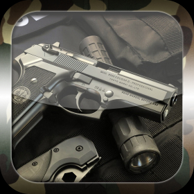 couverture jeu vidéo Guns Sesler