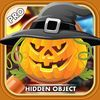 couverture jeu vidéo Halloween Quest Investigation