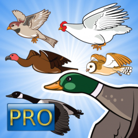 couverture jeux-video Happy Aviary PRO