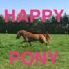 couverture jeux-video Happy Pony by Horse Reader