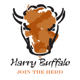 couverture jeu vidéo Harry Buffalo