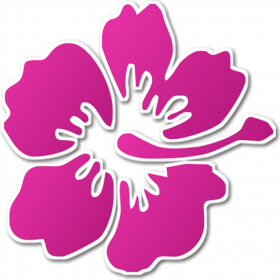 couverture jeu vidéo Hawaii Card Game